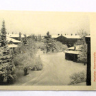 Tammela Mustiala talvikuva -1913 - pikkukuva 1