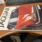PAUL SKILLETER JAGUAR HYVÄ - pikkukuva 1