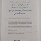 Petteri Pietikäinen : Hulluuden historia - pikkukuva 2