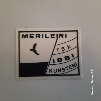 hihamerkki Merileiri TSK 1981 Kunsteniemi I, SRK partio tms