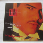 Christopher Williams:Adventures In Paradise  LP   1989 - pikkukuva 1
