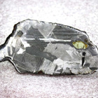 Meteoriitti levy pallasiitti 101 x 2 mm zoomorfinen Seymchan - pikkukuva 1