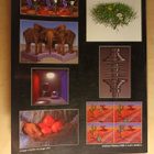 Computer Graphics: ACM SIGGRAPH Conference Proceedings 1998 - pikkukuva 2