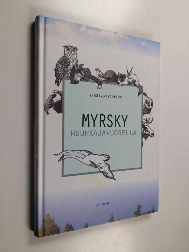 Erkki Koipijärvi : Myrsky Huuhkajavuorella