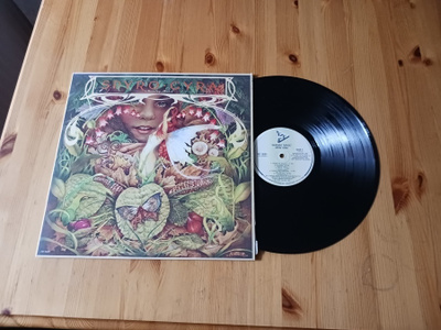 Spyro Gyra – Morning Dance lp 1979 Jazz-Funk, Fusion nm!