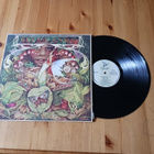 Spyro Gyra – Morning Dance lp 1979 Jazz-Funk, Fusion nm! - pikkukuva 1