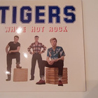 TIGERS - WHITE HOT ROCK - pikkukuva 1