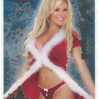Bench Warmer 2005 Series 1 Holiday Foil 12 Bridget Marquardt - pikkukuva 1