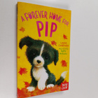 Linda Chapman : A forever home for Pip - pikkukuva 1