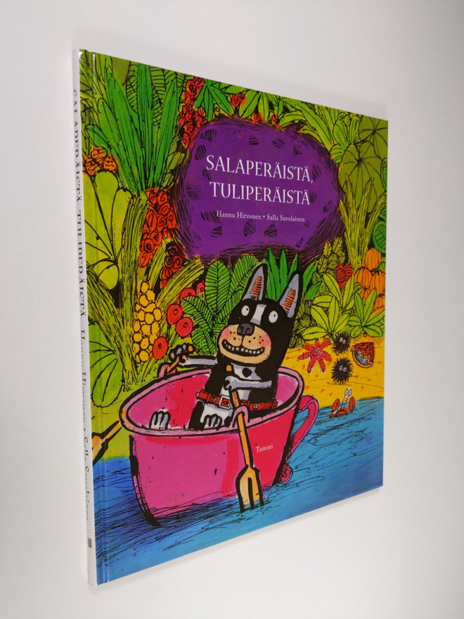 Hannu Hirvonen ym. : Salaperäistä, tuliperäistä