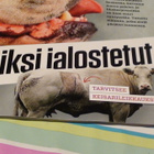 TIETEEN KUVALEHTI 13 / 2016 - pikkukuva 4