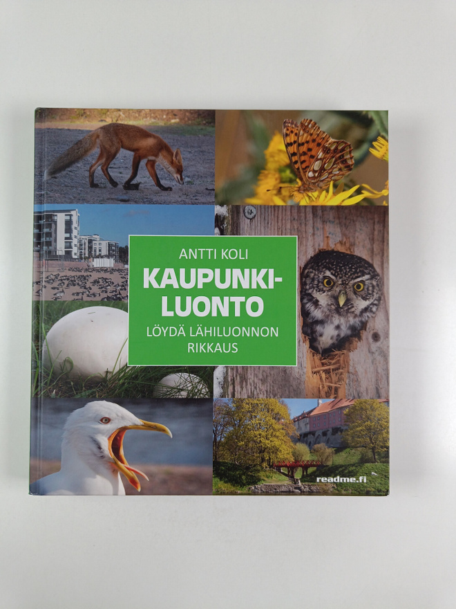 Antti Koli : Kaupunkiluonto