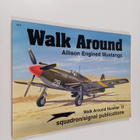 Glen Phillips : Allison Engine Mustang Walk Around - pikkukuva 1