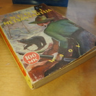 Zane Grey: Nuori Metsänvartija, pokkari - pikkukuva 1