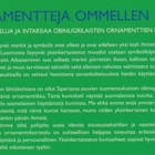 Maija-Leena Seppälä: Ornamentteja ommellen - pikkukuva 3