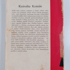 Antero Vuorio : Kairoilta Kemiin - pikkukuva 2