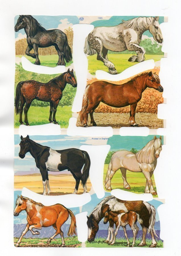 KIILTOKUVA °°HIENOT HEVOSET°° /Mlp