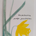 Maija Paavilainen : Hiljaisuutta - pikkukuva 1