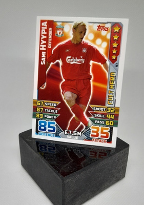 Sami Hyypiä, Liverpool - Cult Hero