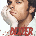 Dexter - 1. tuotantokausi (12 jaksoa, 4 x DVD) - pikkukuva 2