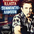 LAUANTAI-ILLASTA SUNNUNTAIAAMUUN (29 334) UUSI -FI- DVD - pikkukuva 2