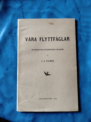 j a palmen våra flyttfåglar