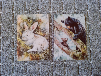 ~Eläin kortti~ 2kpl