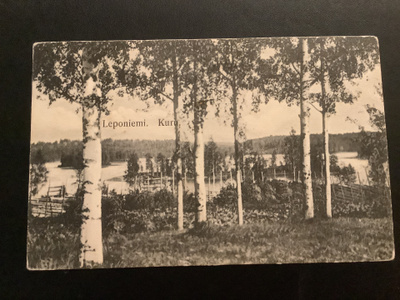 Leponiemi. Kuru