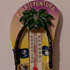 matkamuisto jääkaappimagneetti Fuerteventura ERILAISIA - pikkukuva 3