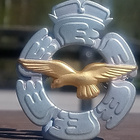 SA - Ilmavoimat kokardi. Halkaisija - 44 mm. - pikkukuva 2