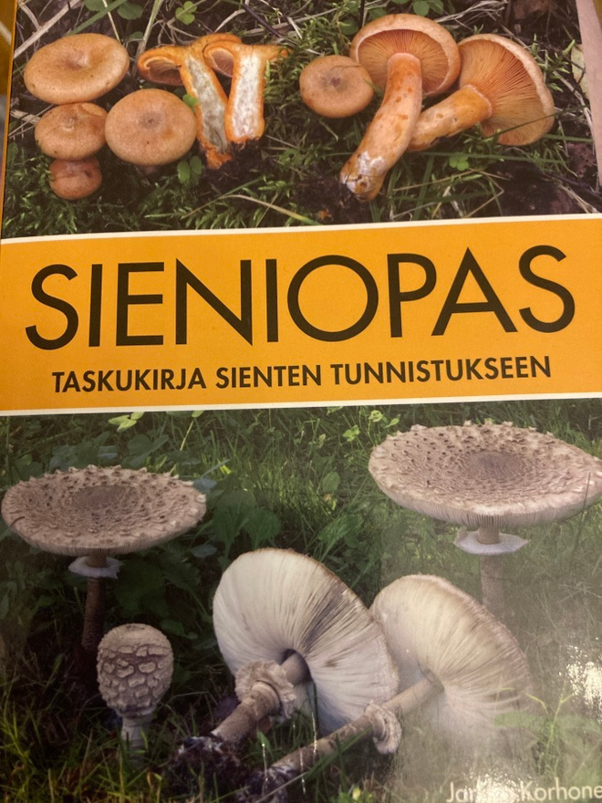 JARKKO KORHONEN: SIENIOPAS Taskukirja sienten tunnistukseen