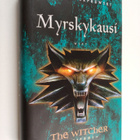 Andrzej Sapkowski : Myrskykausi - pikkukuva 1