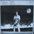ROGER DALTREY - UNDER A RAGING MOON - pikkukuva 2