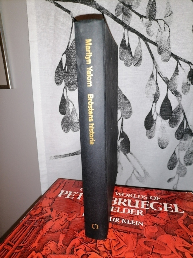 Bröstens historia - Marilyn Yalom - Ordfront 1999
