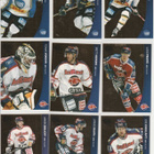 2004/05 Pure Skills Gold /100 - pikkukuva 1