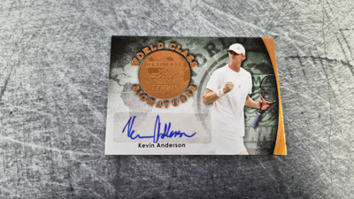 Kevin Anderson Leaf World Class Auto