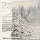 Askel riistapolulle - pikkukuva 2