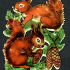 EAS 3151 - Suloiset oravat - pikkukuva 1