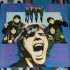 THE RENEGADES ~ Story ~ LP - pikkukuva 2