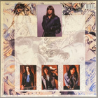 Bruce Dickinson: Tattooed Millionaire - LP ( uusi ) - pikkukuva 2