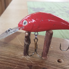 Salmo Floating Rattli'n Hornet 4,5cm - pikkukuva 2
