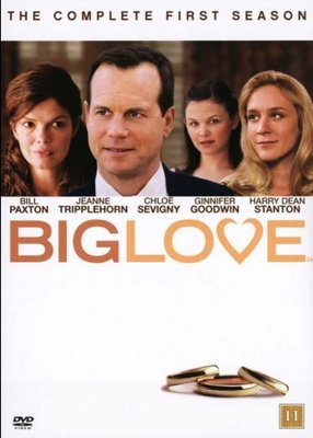 Big Love - Kausi 1 - (5 DVD)