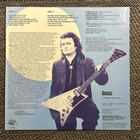 Tinsley Ellis - Georgia Blue , LP - pikkukuva 2