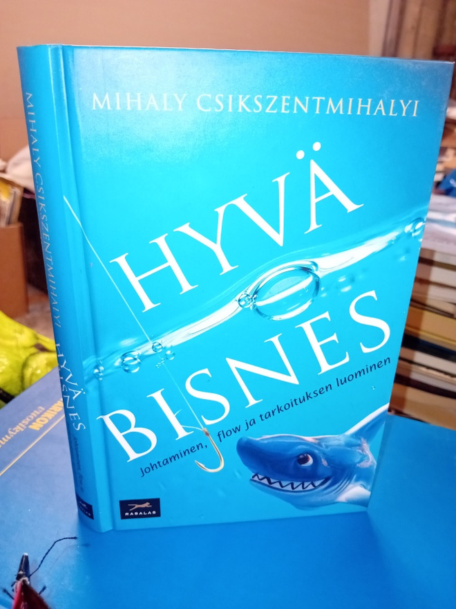 Csikszentmihalyi : Hyvä bisnes  ( SIS POSTIKULU  )