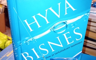 Csikszentmihalyi : Hyvä bisnes  ( SIS POSTIKULU  )