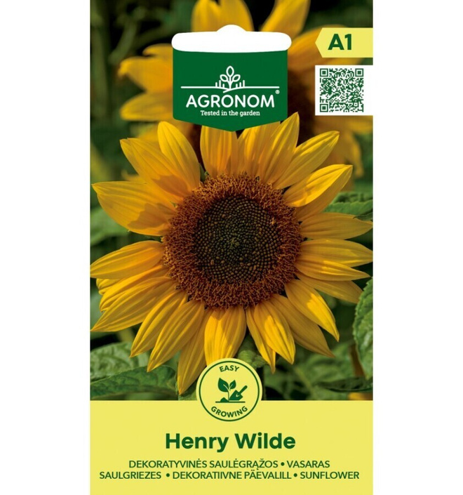 Isoauringonkukka "Henry Wilde" - siemenet #