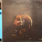 Van Halen – Van Halen Vinyyli - pikkukuva 2