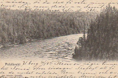 Postikortti, PYHÄKOSKI, v 1907