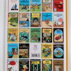 Herge : Castafioren korut - pikkukuva 2