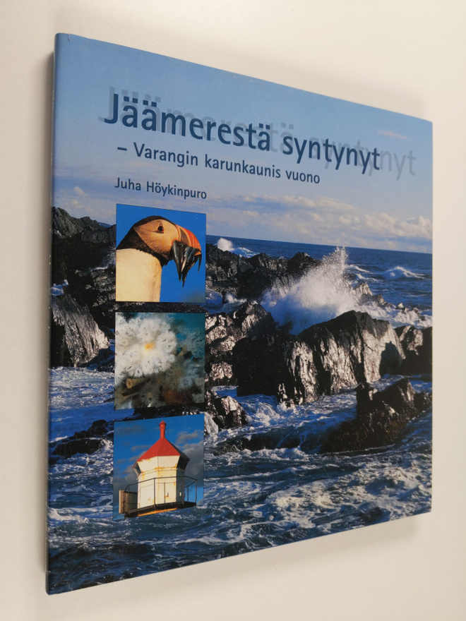 Juha Höykinpuro : Jäämerestä syntynyt : Varangin karunkau...